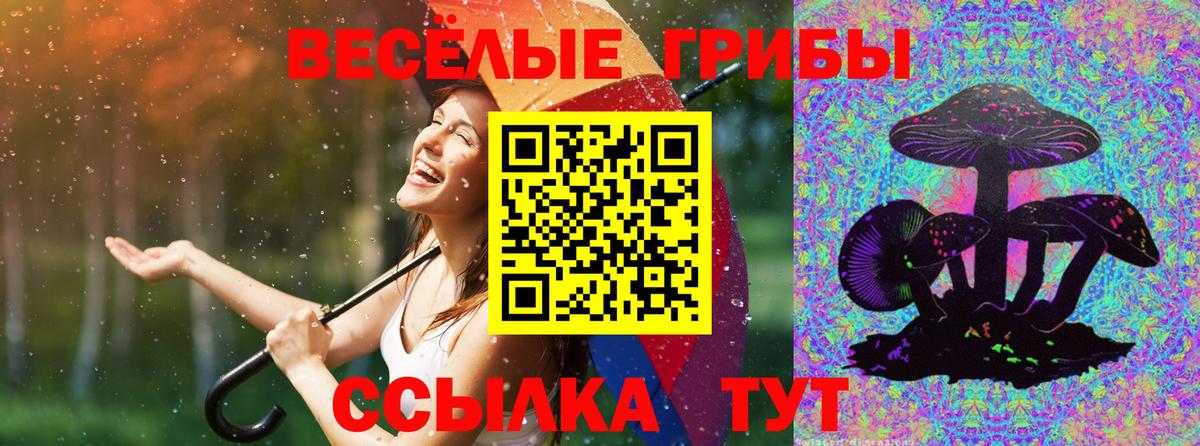 Белогорск  Псилоцибиновые грибы мухоморы  Вход с VPN 